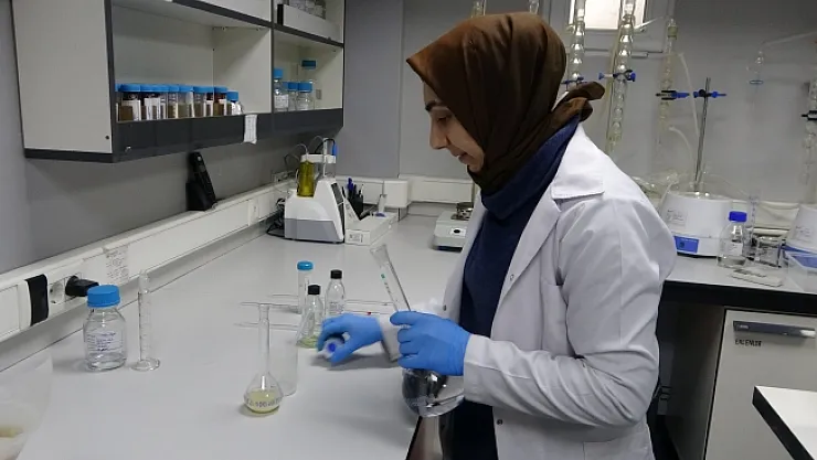 Kuru kayısıya ihracat öncesi kapsamlı inceleme