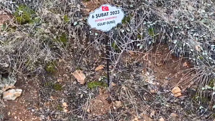 Malatya'da deprem şehitlerine saygısızlık! Bakımsızlıktan kurudu!