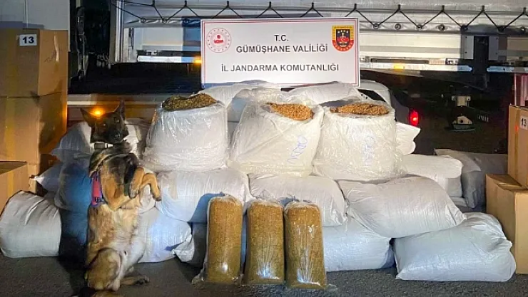 644 kilogram kaçak tütün ele geçirildi