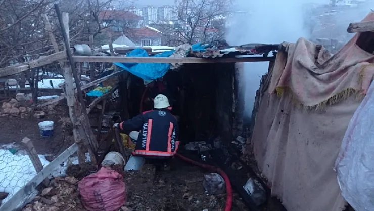 Malatya'da ahır yangını! 25 küçükbaş hayvan telef oldu