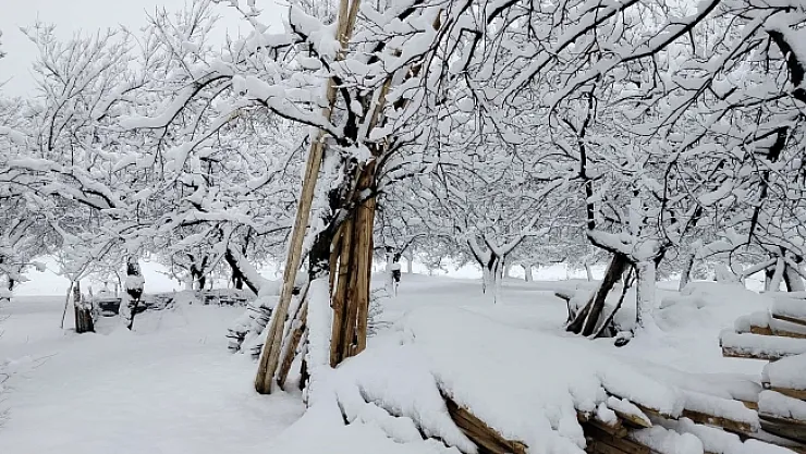 Pütürge'de yoğun kar yağışı