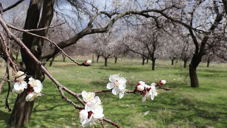 Tarım İl Müdürlüğü'nden çiftçilere önemli uyarı!