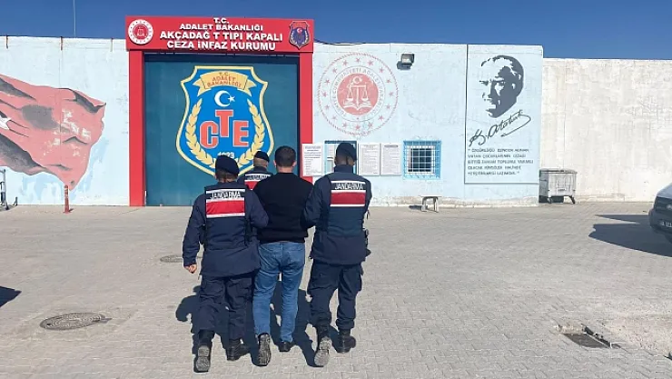 Terör örgütü üyesi firari yakalandı