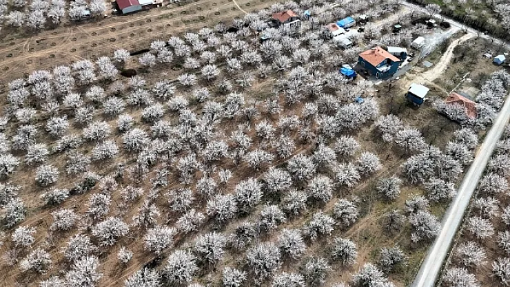 Malatya beyaz gelinliğini giydi