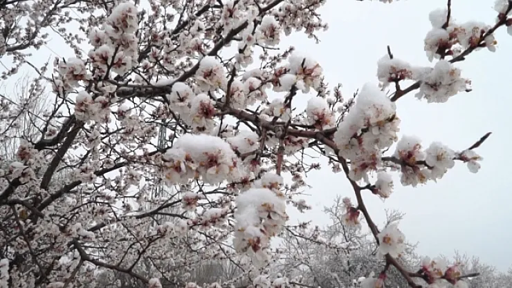 Malatya'da kar yağışı etkili oluyor