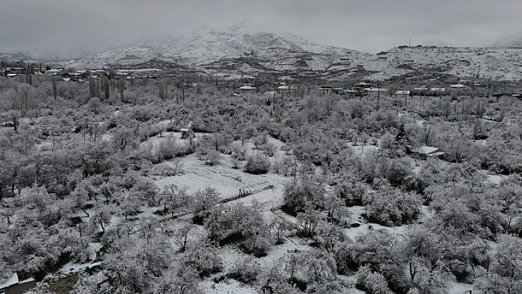 Malatya'da kayısı bahçeleri don tehlikesiyle karşı karşıya
