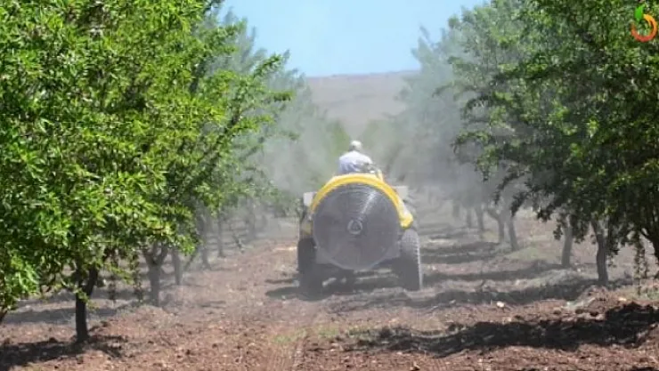 Üreticinin eli yüreğinde! Bahçelerde yoğun ilaçlama mesaisi sürüyor