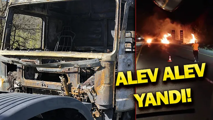 Cayır cayır yandı!