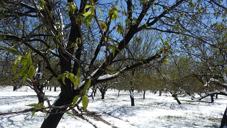 Fırsatçılara göz açtırılmayacak!