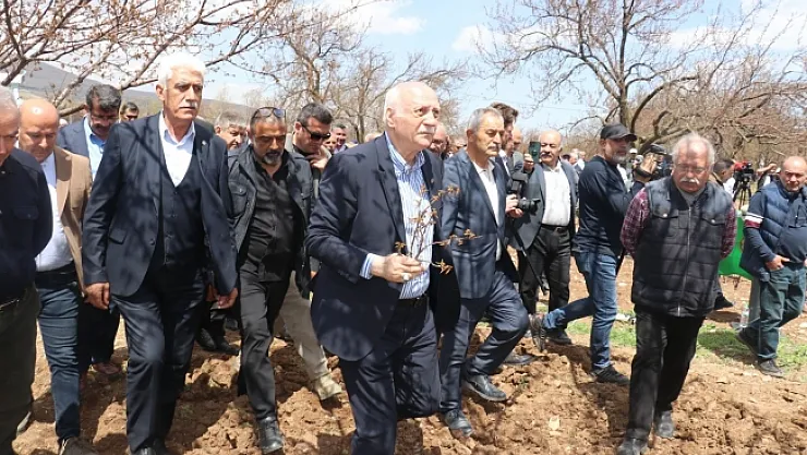 Kayısıda yüzde yüz zarar!