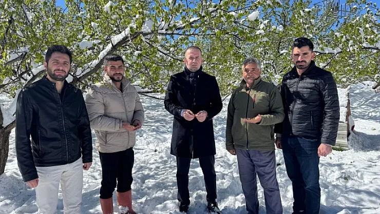 Malatya'da kayısı da don felaketi!