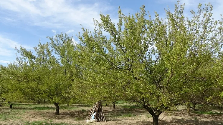 Uyguladığı teknik kurtuluşu oldu!