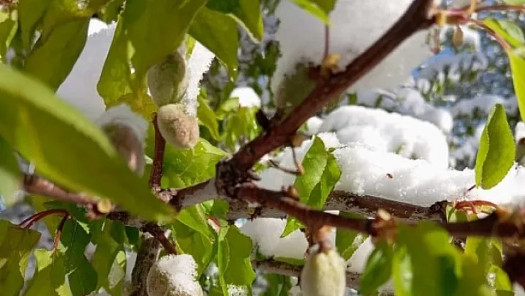 Vali Yavuz'dan açıklama! Hasar tespit çalışmaları başladı