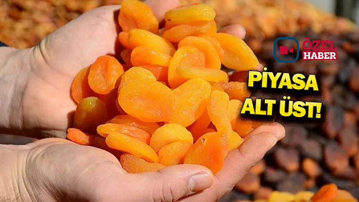 Zirai don hadisesi sonrası kayısı fiyatları tavan yaptı!