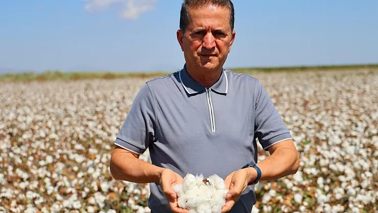 Adana'da Pamuk Hasadı Başladı: Ekim Alanı 7 Yılda Yüzde 73 Azaldı