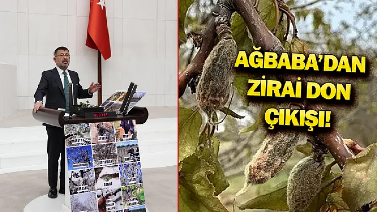 Ağbaba: Zirai donu da unutturacaklar