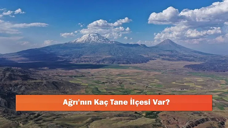 Ağrı'nın Kaç Tane İlçesi Var?