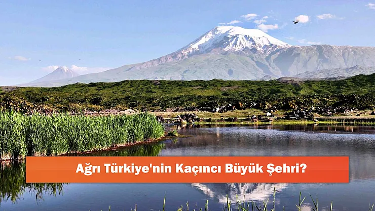 Ağrı Türkiye'nin Kaçıncı Büyük Şehri?