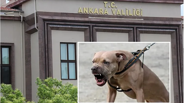 Ankara'da İki Kardeşe Saldıran Pitbullun Sahibi Tutuklandı!