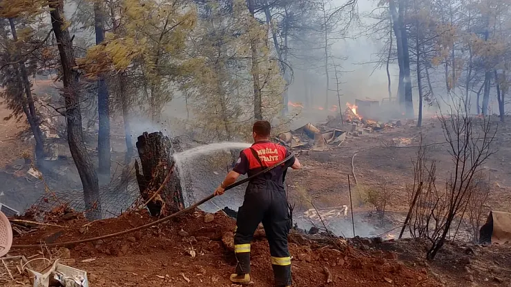 Antalya ve Muğla'da Orman Yangınlarıyla Zorlu Mücadele