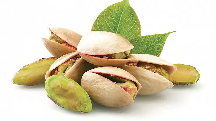 Antep Fıstığında Büyük Kayıp: Rekoltede Yüzde 80 Düşüş