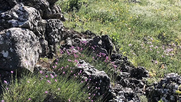 Arapgir kırsalında renk cümbüşü