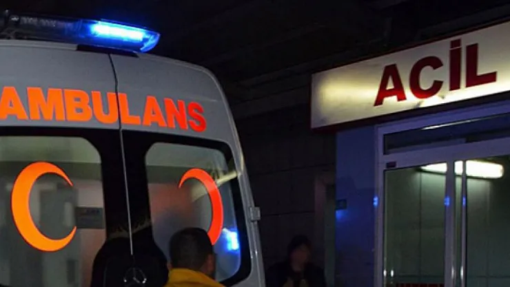 9 Yaşındaki Minik Nisa Arı Sokması Sonucu Hayatını Kaybetti!