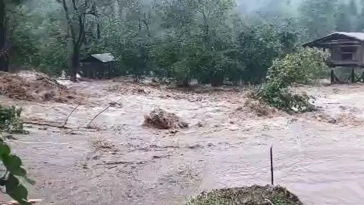 Artvin Borçka'da Sağanak Yağış Felakete Yol Açtı: Sel ve Heyelan Hayatı Durdurdu