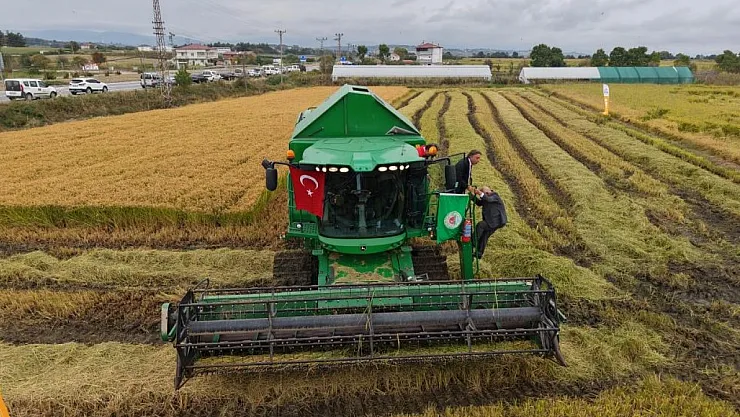 Bafra Ovası'nda Çeltik Hasadı Coşkuyla Başladı: 157 Bin Dekarda Üretim, 3 Milyar Liralık Katkı