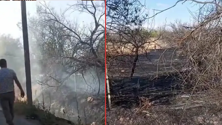 Bahçe yandı! Rüzgarın etkisiyle geniş alana yayıldı