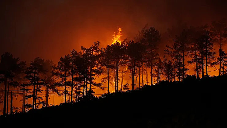 Bakan Yerlikaya orman yangınlarının nedeni açıkladı