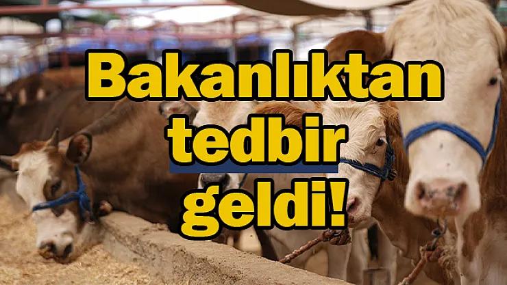 Bakanlıktan tedbir geldi!
