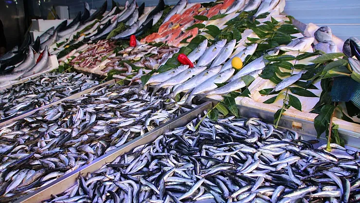 Balık Fiyatları El Yakıyor