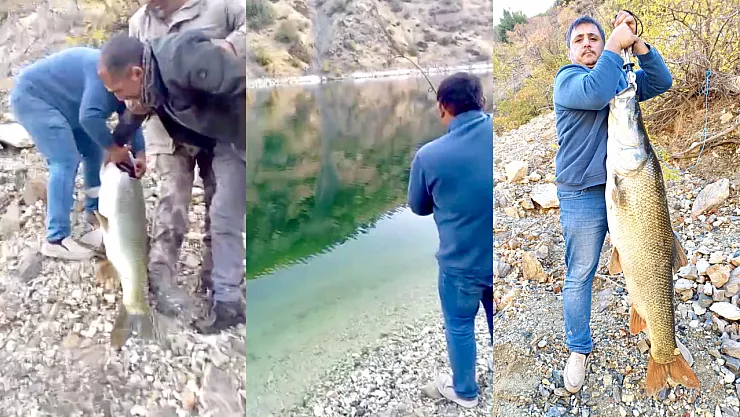 Barajdan Dev Balık Çıktı