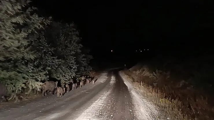 Battalgazi'de Geceleri Tarla Başında Nöbet Başladı