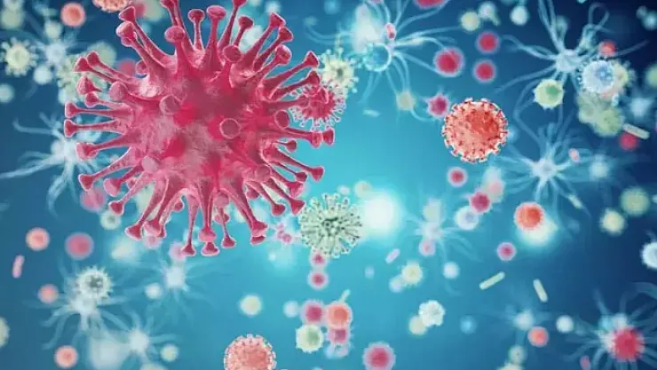 Bilim İnsanları Uyardı! Küresel Isınma, Hayvanlardan İnsanlara Bulaşan Hastalıkları Tetikliyor