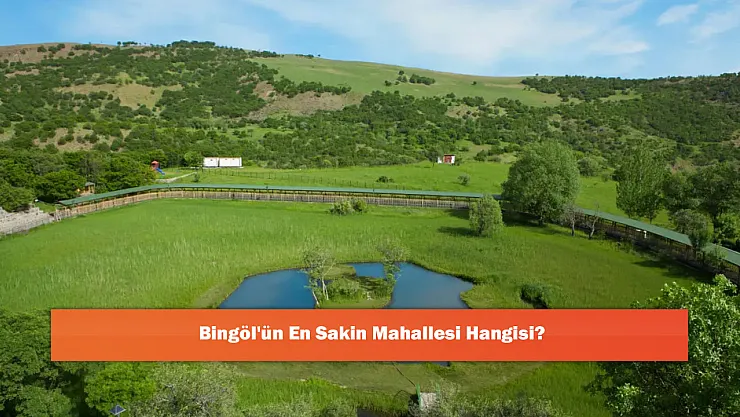 Bingöl'ün En Sakin Mahallesi Hangisi?