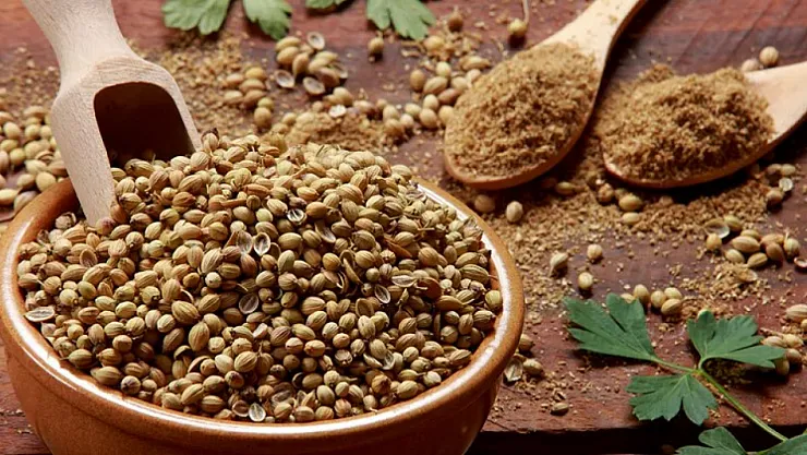 Binlerce Yıllık Şifa: Kişnişin Sağlık Üzerindeki Etkileri