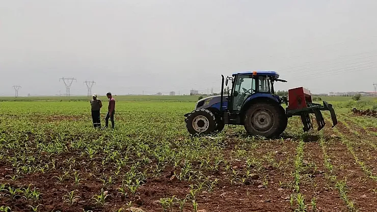 Bitkisel Üretimde Yeni Dönem: 2025-2027 Destekleme Politikaları Açıklandı!