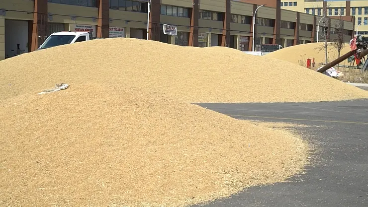 Buğday Pazarı'nda kriz!