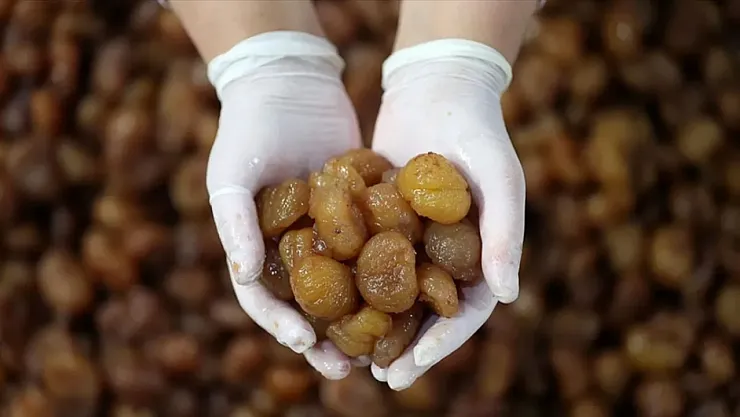 Bursa Kestane Şekeri ve İpsala Pirinci AB Coğrafi İşaret Aldı