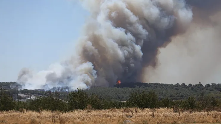 Çanakkale'de Orman Yangını Felaketi: Tarihi Alan Kapandı, Beş Köy Boşaltıldı