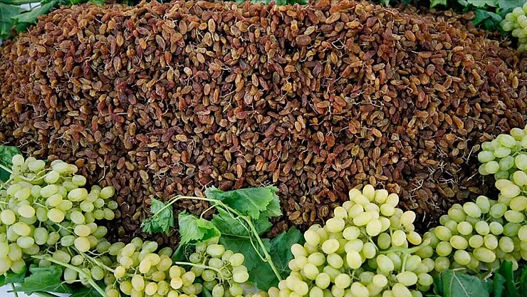 Çekirdeksiz Kuru Üzüm Alım Fiyatı Açıklandı: TMO 120 Lira Olarak Belirledi