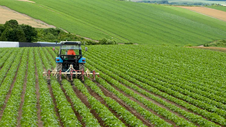 Çiftçilere Müjde! Hesaplarınızı Kontrol Edin