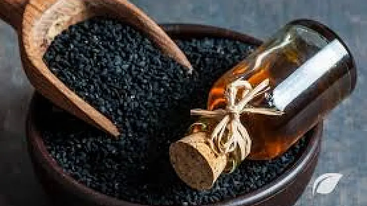 Çörekotu Zayıflamada Etkili Olabilir mi? Yeni Araştırma Çarpıcı Sonuçlar Ortaya Koydu!