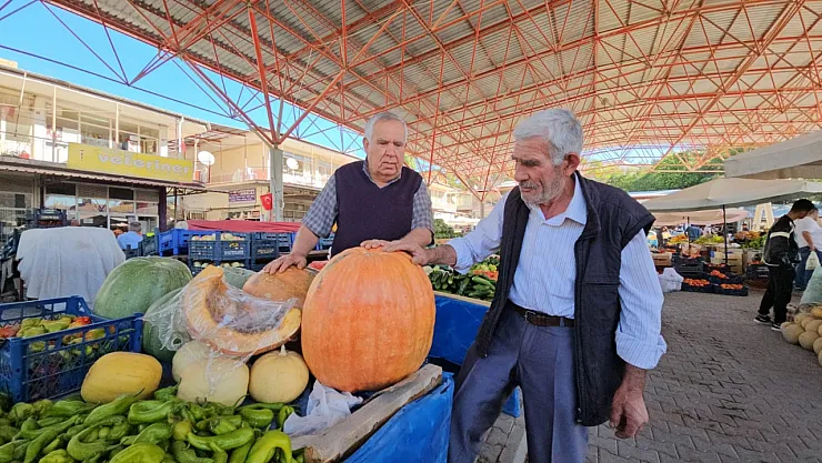 Darende'de meşhur bal kabağı üreticinin yüzünü güldürüyor