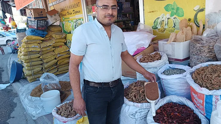 Darende'de Sumak Hasadı Başladı