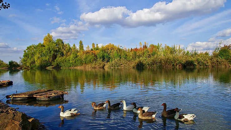 Dicle Nehri'nin Büyüsü: Diyarbakır'ın Tarih, Kültür ve Ekoturizmdeki Yeni Yüzü
