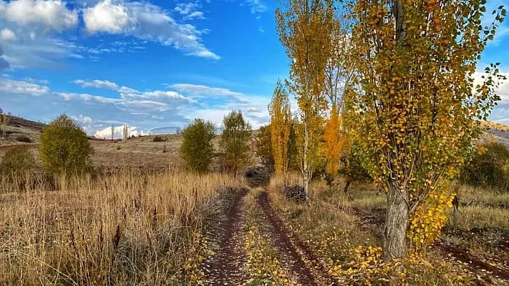 Doğanşehir Sonbaharla Renk Cümbüşüne Döndü: Doğa Seyirlik Bir Manzara Sunuyor