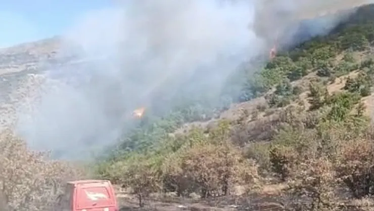 Doğanyol'da Orman Yangını Kontrol Altına Alındı